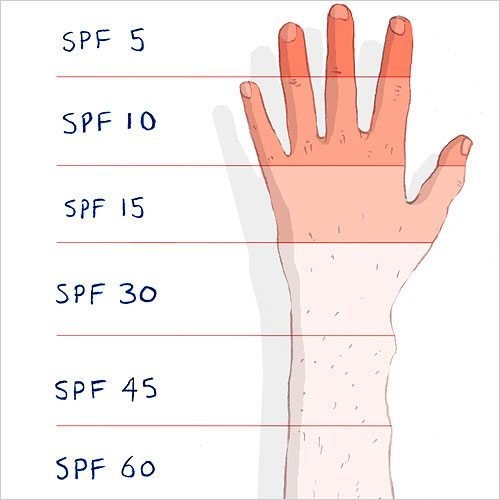 Bảng biểu thị các chỉ số và mức độ của SPF