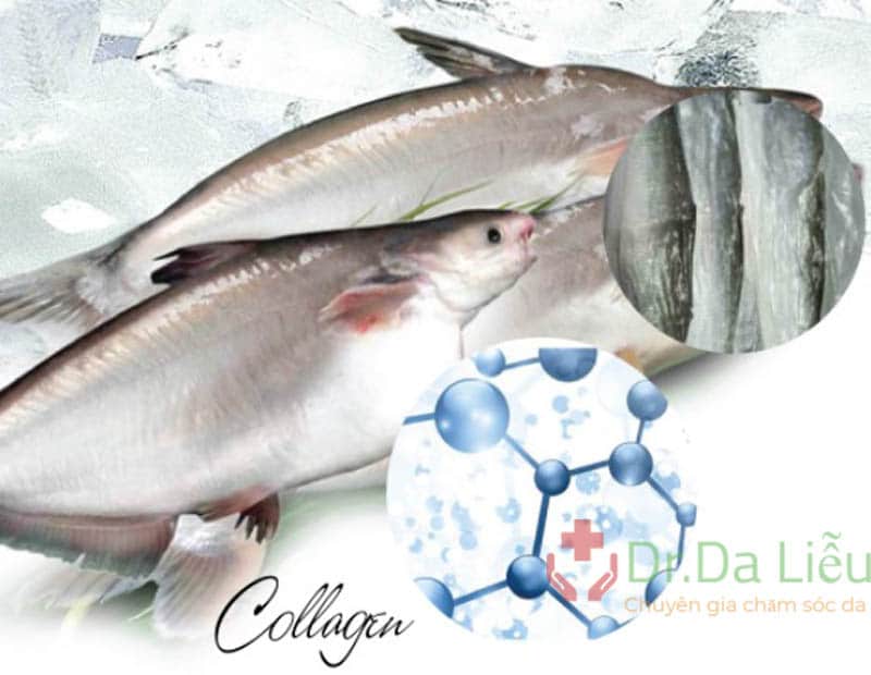Collagenat No-Age Drink mua ở đâu