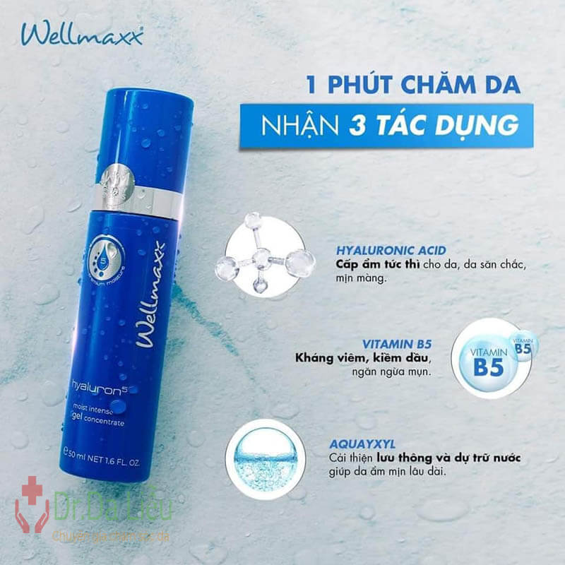 Wellmaxx Hyaluron b5