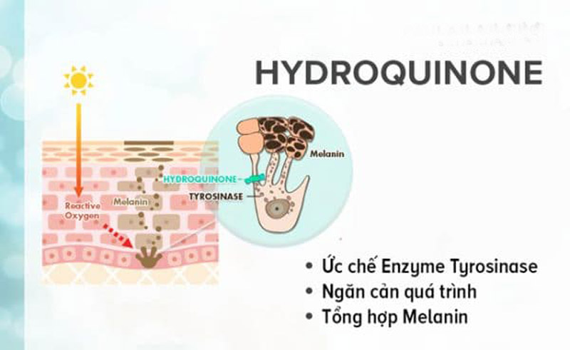Cơ chế hoạt động của Hydroquinone