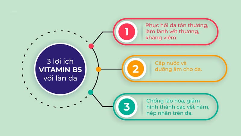 Vitamin B5 Có Tác Dụng Gì Cho Da? Top Các Sản Phẩm Chứa Vitamin B5