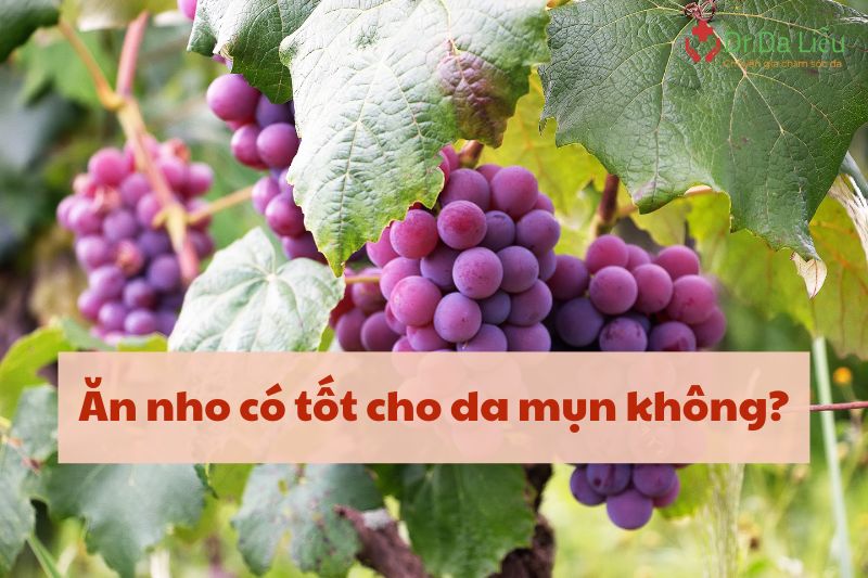 Ăn nho có tốt cho da mụn không?